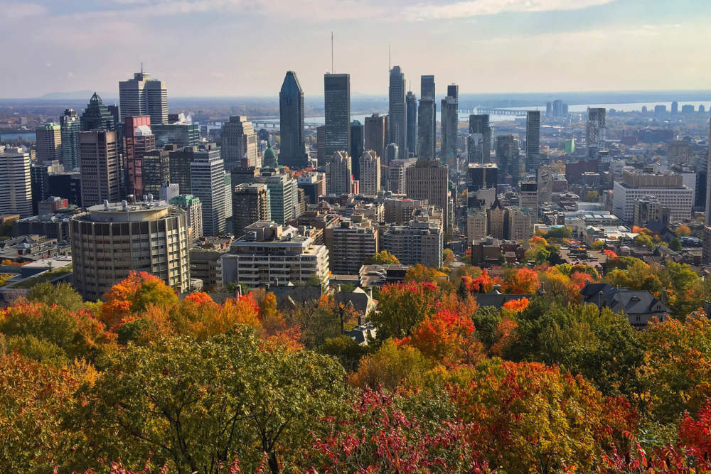 Ecole Pivaut Montréal